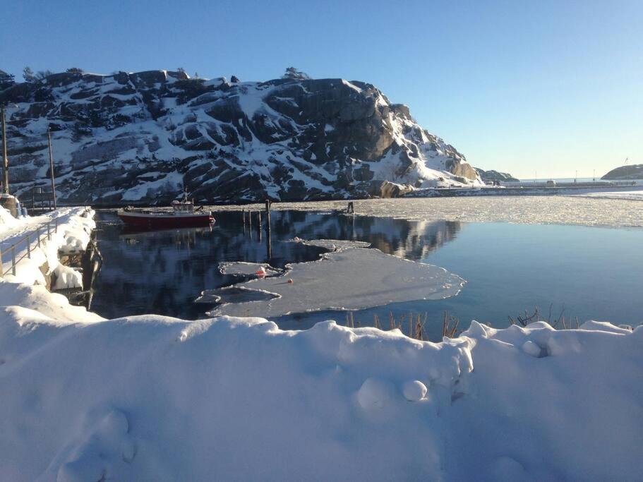 Tjodalyng - Ved Viksfjord - Sokkelleilighet Ларвик Екстериор снимка