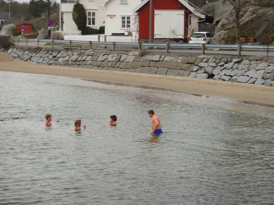 Tjodalyng - Ved Viksfjord - Sokkelleilighet Ларвик Екстериор снимка